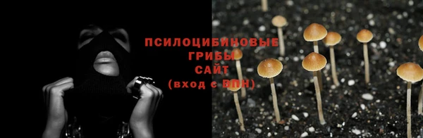 ECSTASY Заволжск