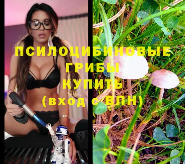 spice Михайловка