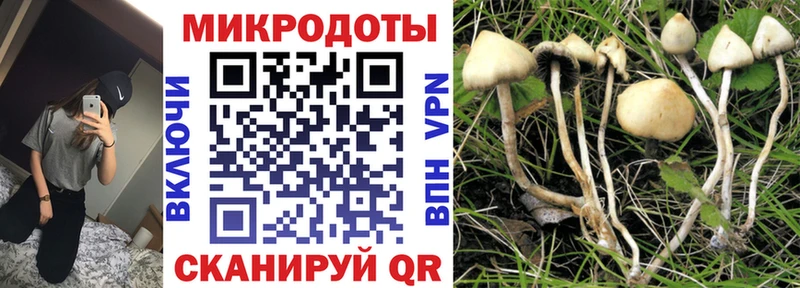 Псилоцибиновые грибы MAGIC MUSHROOMS  гидра ONION  Нерчинск 