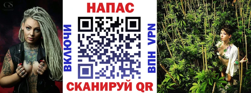 купить  цена  Нерчинск  Бошки Шишки семена 